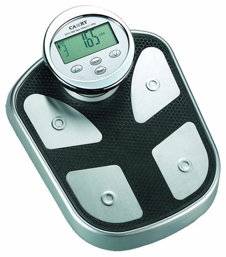 EF311BW ���� ���������